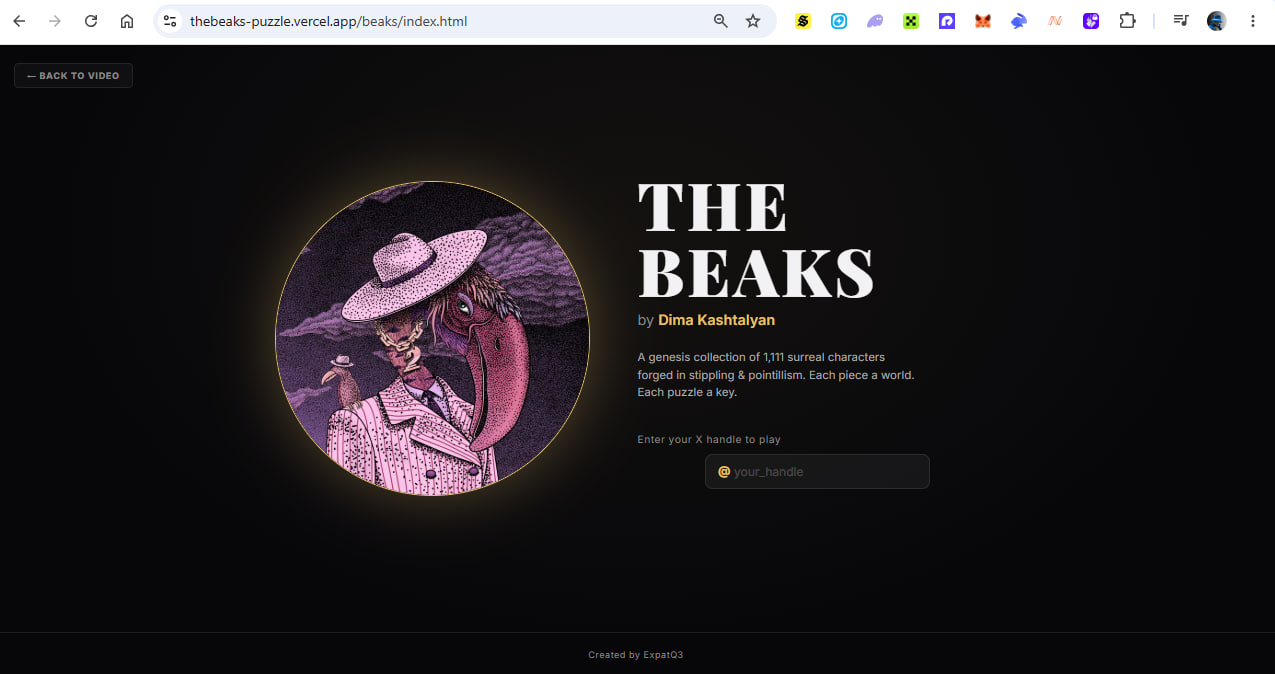 The Beaks Puzzle Game